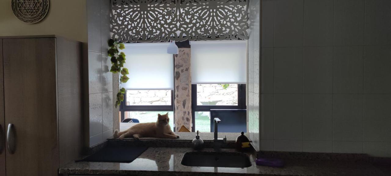 فيلا O Remanso Devesa بونتيفيذرا المظهر الخارجي الصورة